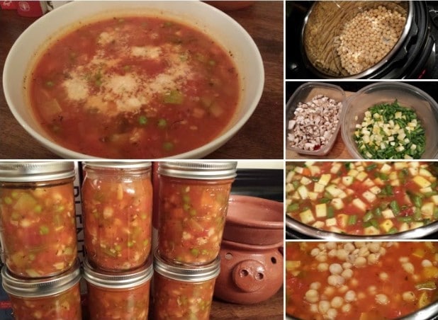 Instant Pot Vegetable Soup with Garbanzo Beans