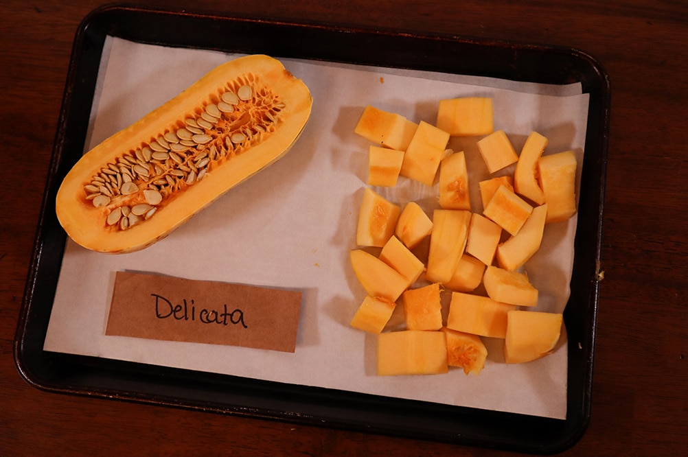 Raw Delicata Squash