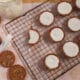 Graham Cracker Crust Cookies