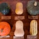 Winter Squash Guide & Taste Test