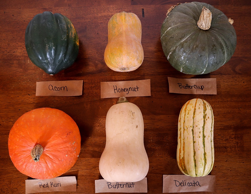 Winter Squash Guide & Taste Test