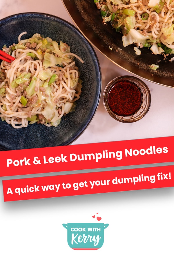 Pork & Leek Dumpling Noodles