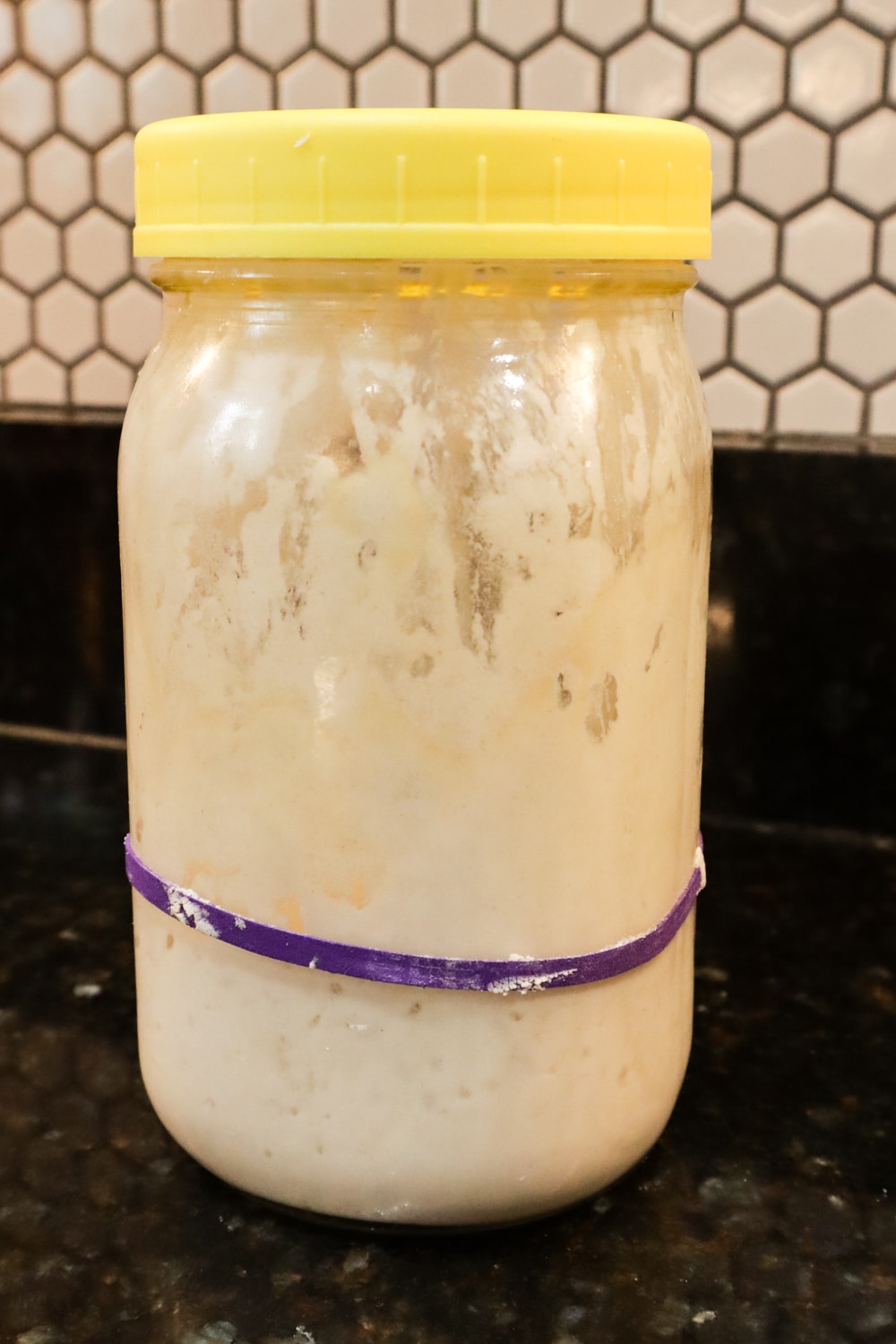 Our Sourdough Starter--Rosie, the Queen of Corona