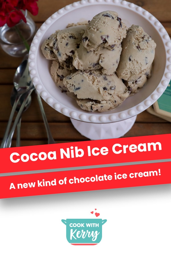 Cocoa Nib Ice Cream